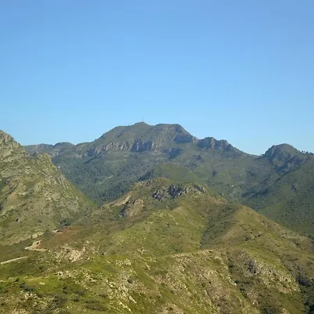 Elena Villa Gandia