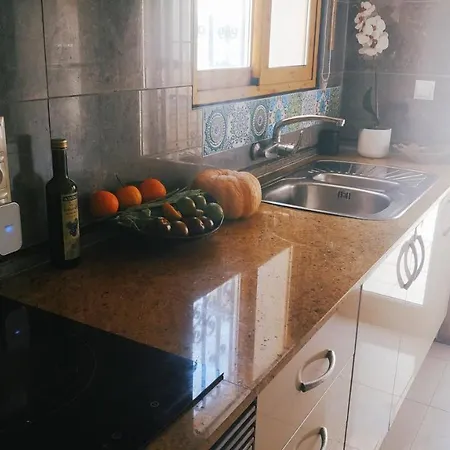 Elena Villa *